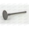 Клапан впускной SHINHAN (22211-26600) OEM