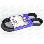 Ремень ручейковый 7PK1127 (1774056) Sasic