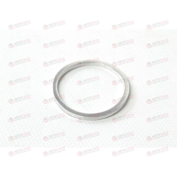 Кольцо уплотнительное натяжителя цепи (007603027101) SSANGYONG