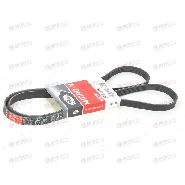 Ремень ручейковый (5PK1815) GATES