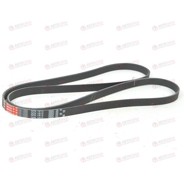 Ремень ручейковый (5PK1815) GATES, изображение 2