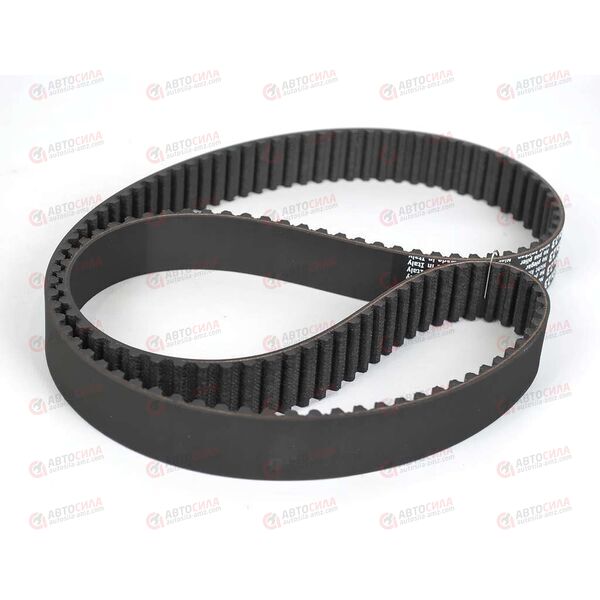 Р/к ГРМ (VKMA01113) SKF, изображение 4
