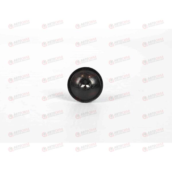 Саморез 4,8х16 (Torx) со шляпкой (N91057001AV) AVERS, изображение 3